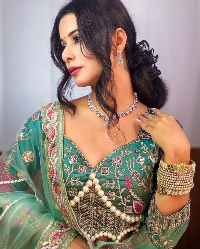 Resham-E-Pista Saree With Designer Blouse