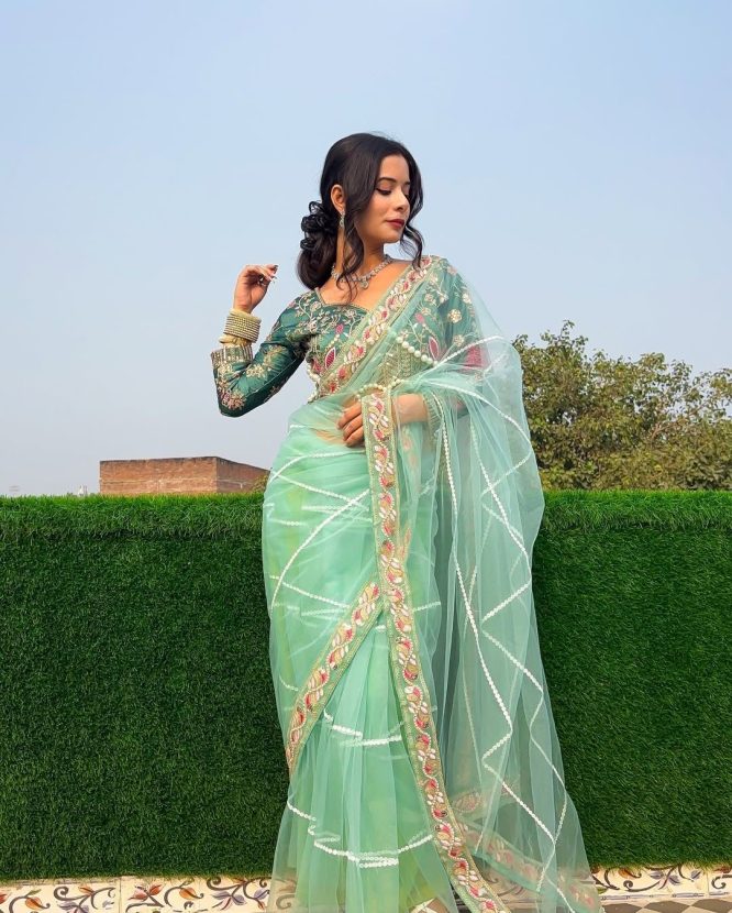 Resham-E-Pista Saree With Designer Blouse