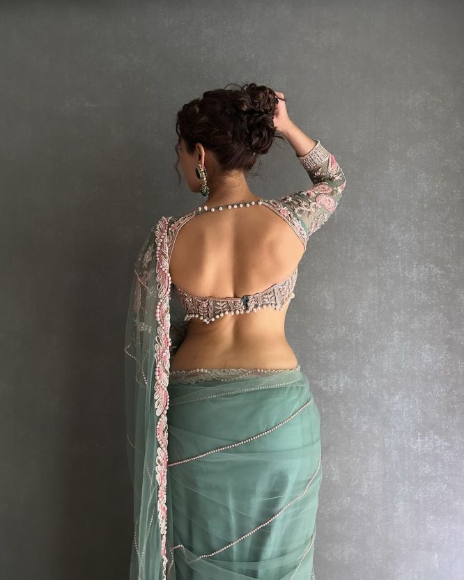 Resham-E-Pista Saree With Designer Blouse