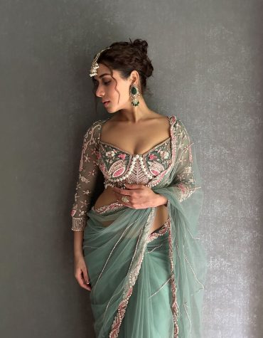 Resham-E-Pista Saree With Designer Blouse