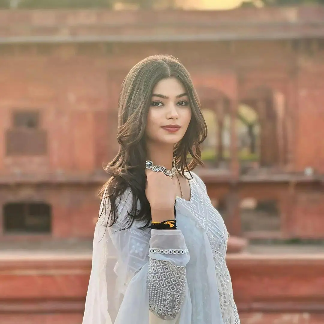 Chandni Mirrorwork Anarkali