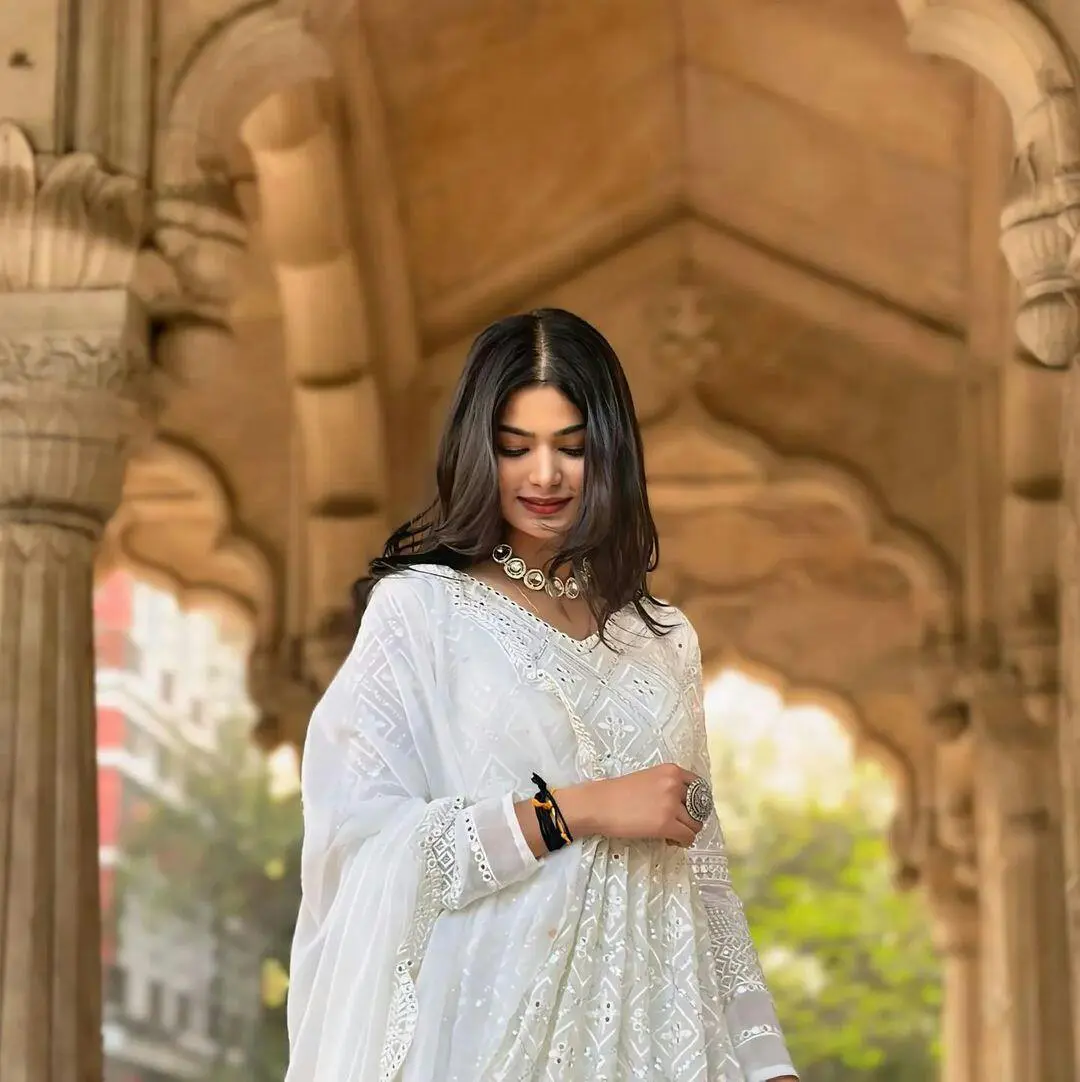 Chandni Mirrorwork Anarkali