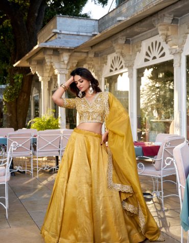 Sunlit Splendor Lehenga Set