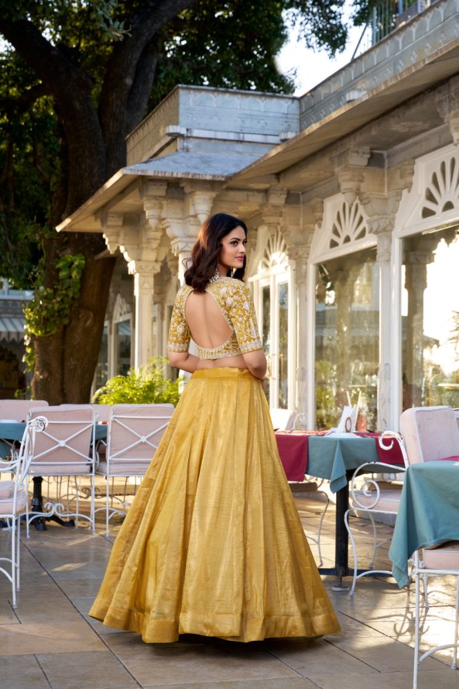 Sunlit Splendor Lehenga Set