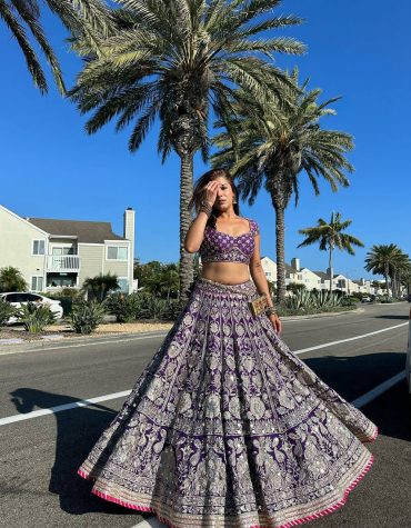 Royal Violet Elegance Lehenga