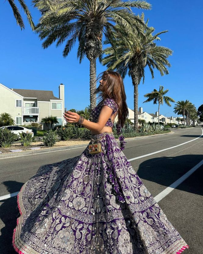 Royal Violet Elegance Lehenga