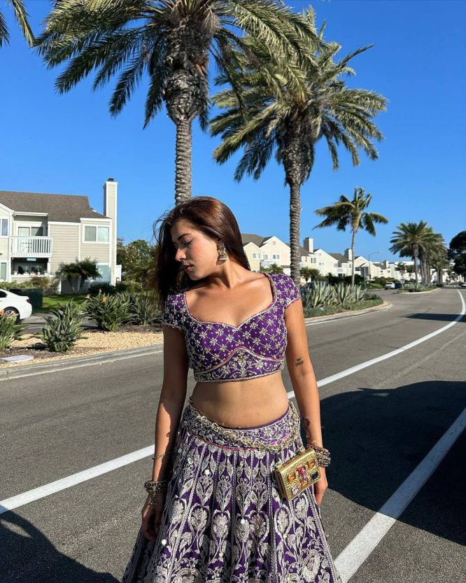 Royal Violet Elegance Lehenga