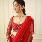 Lehenga Saree with Full Flair and Round Ruffle