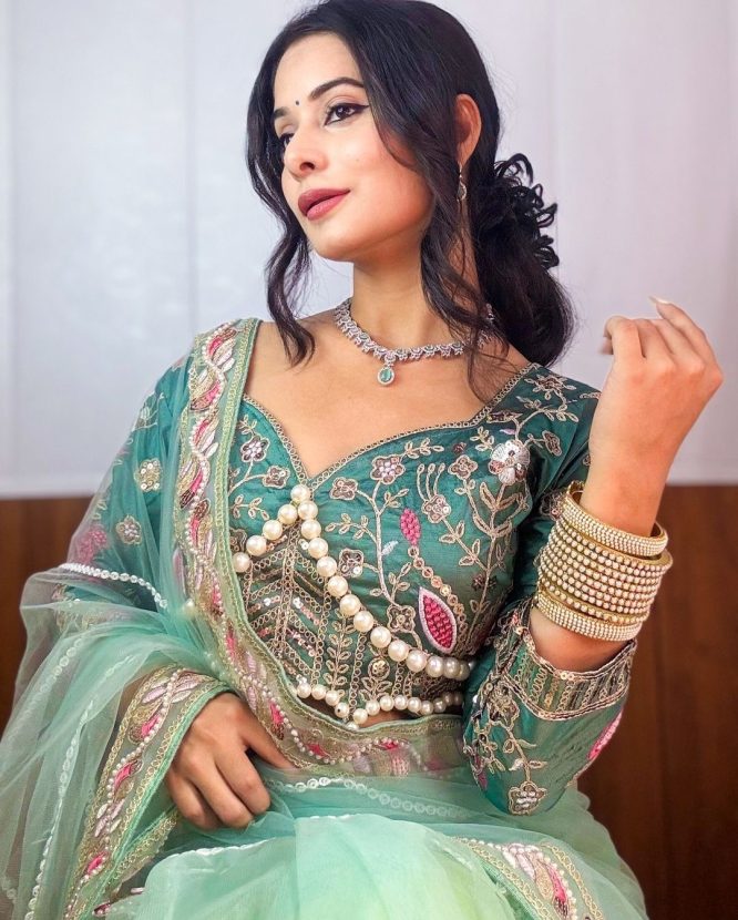Resham-E-Pista Saree With Designer Blouse