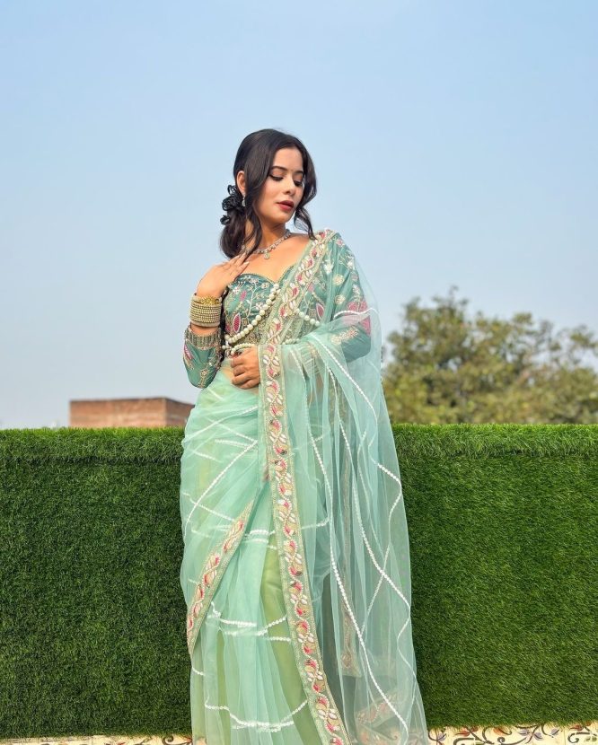 Resham-E-Pista Saree With Designer Blouse