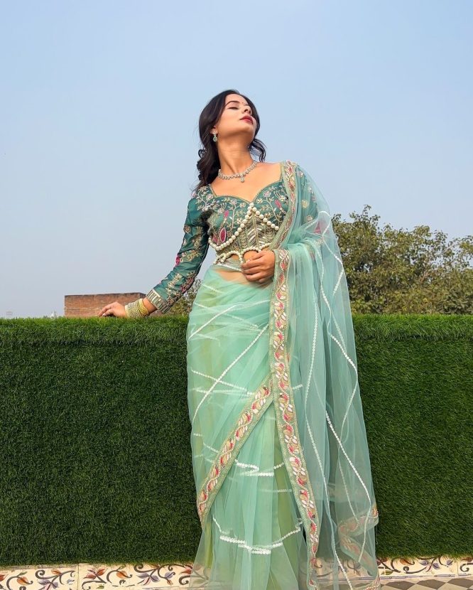 Resham-E-Pista Saree With Designer Blouse