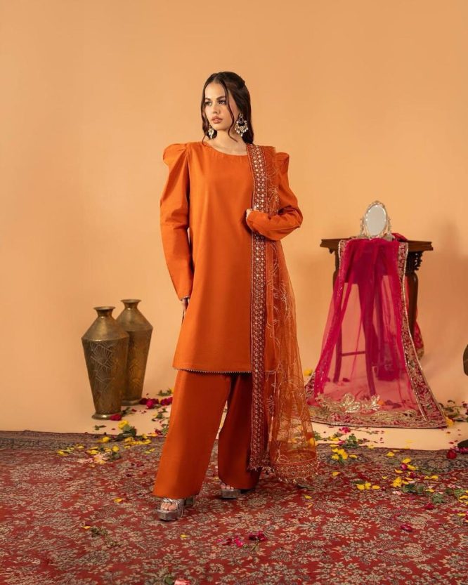 Kiara Luxe Embroidered Kurta Set
