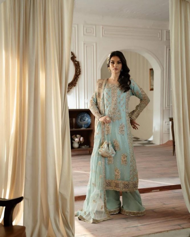 Embroidered Luxe Net Suit with Handwork Dupatta