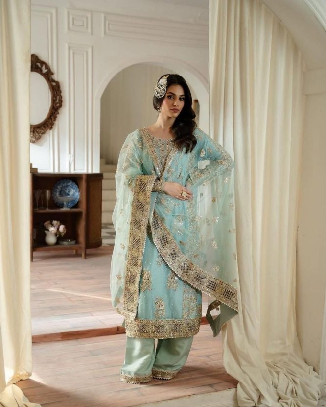 Embroidered Luxe Net Suit with Handwork Dupatta