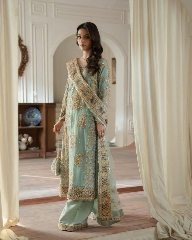 Embroidered Luxe Net Suit with Handwork Dupatta