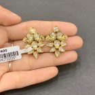 Antique Earrings 6875556