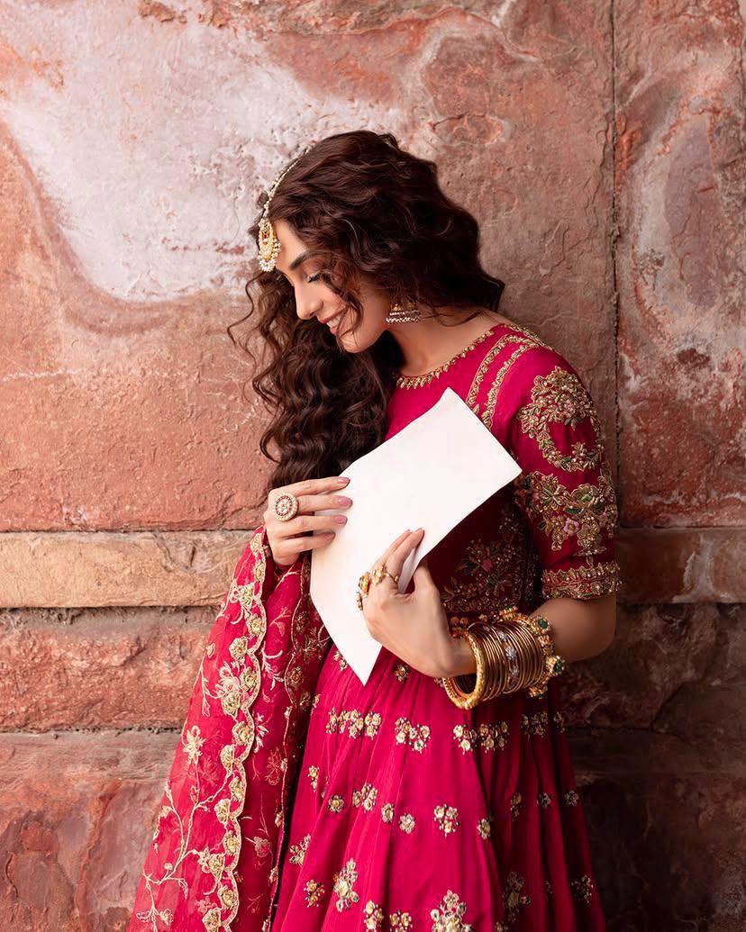 Rani Gulab Anarkali Gown