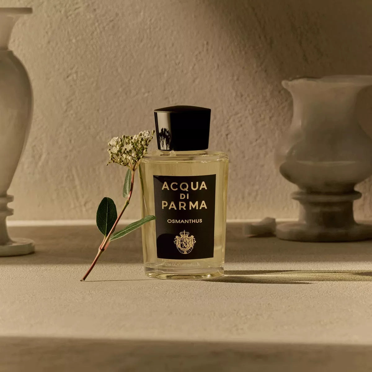 Acqua Di Parma Osmanthus Eau De Parfum For Men & Women 100 ML