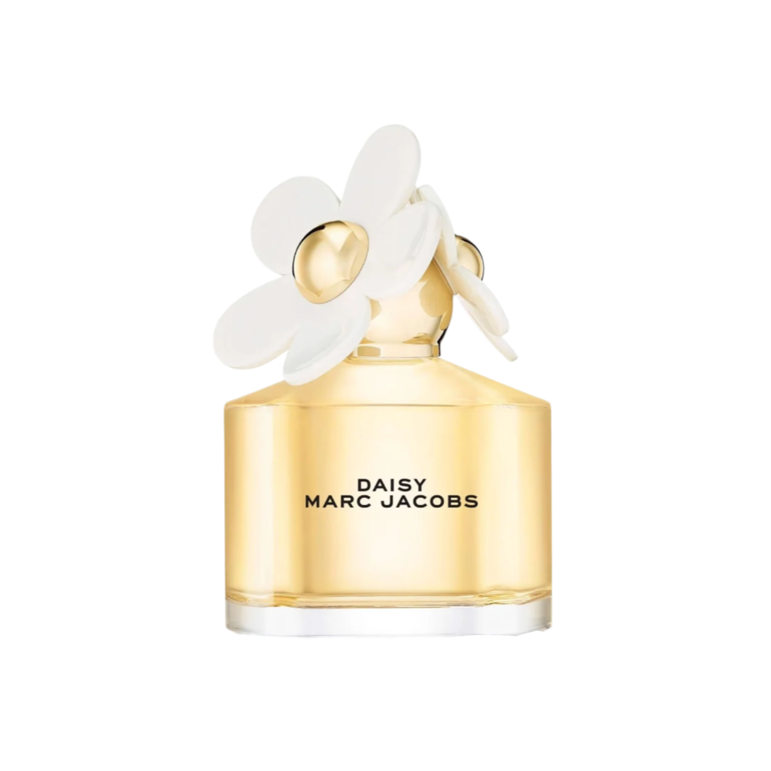 Screenshot2025-02-06at10.54.38PM