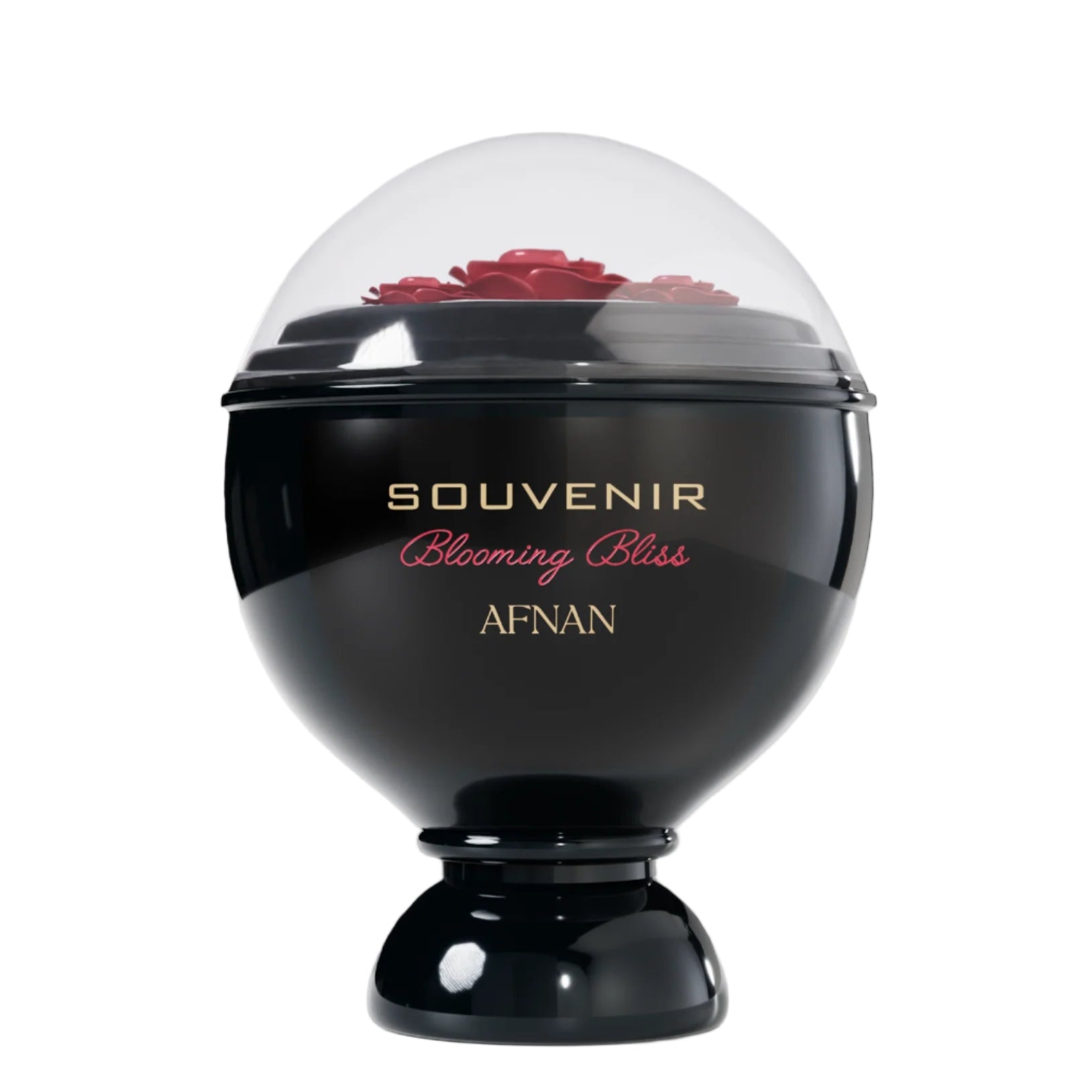 bloom_c191bfec-85ae-4fa5-a1a3-cc33773af7d9